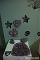 VBS_1052 - Dinosauri. Terra dei giganti